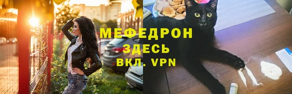 стаф Щучье