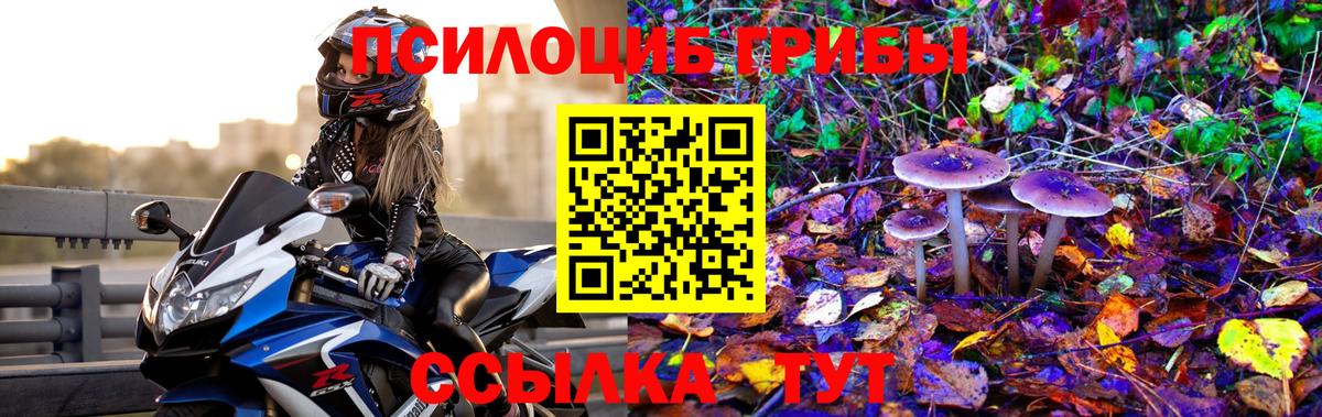 Псилоцибиновые грибы Psilocybe  Галлюциногенные грибы MAGIC MUSHROOMS  Москва  Вход с VPN 